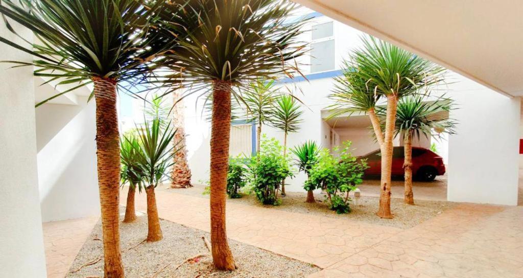 Apartment With Sea Views In Las Terrazas/Playa Flamenca Dehesa de Campoamor  ภายนอก รูปภาพ