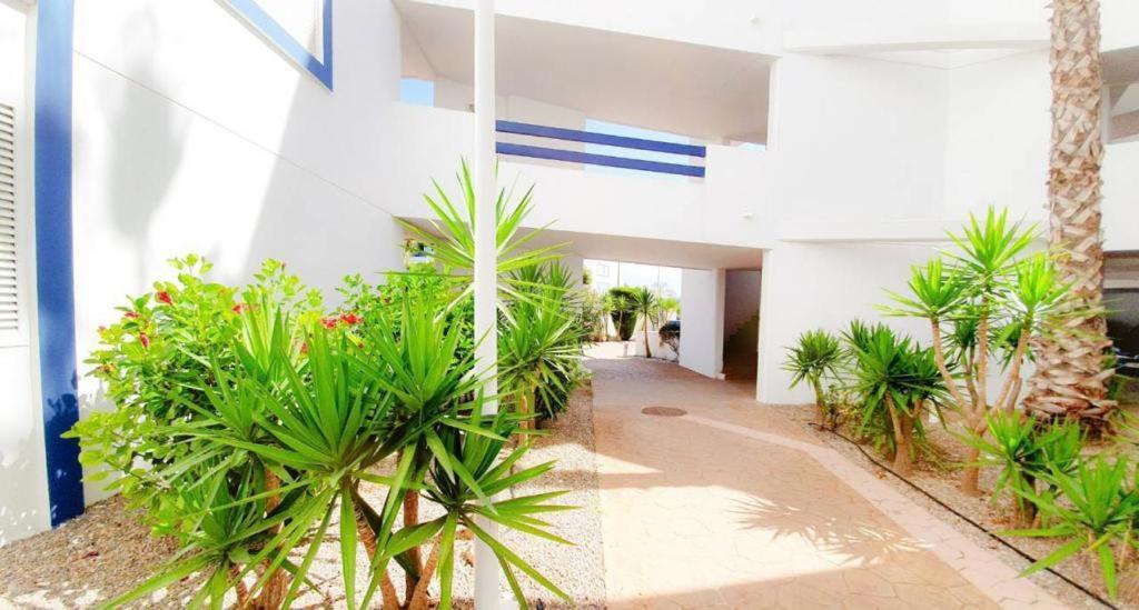 Apartment With Sea Views In Las Terrazas/Playa Flamenca Dehesa de Campoamor  ภายนอก รูปภาพ